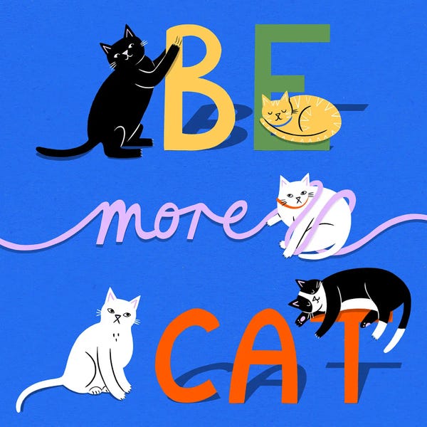 Pet Obsessed: Be More Cat by Nat Ellis