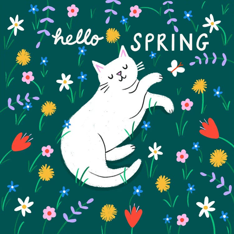 Hello Spring