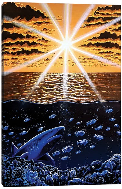 Sleeps With The Fishes Canvas Art Print - Shark Art