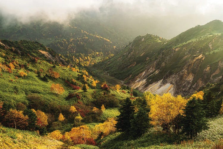 Alpine Autumn by Yuusuke Hisamitsu wall art