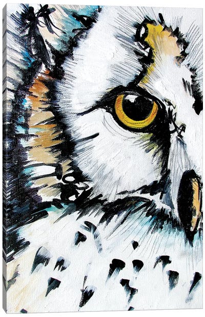 Crown Canvas Art Print - Owl Art