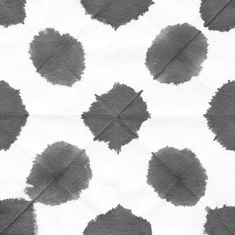 Watermark Black & White II by Nancy Green wall art