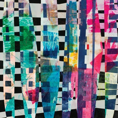 Imbroglio II by Nancy Ngo canvas print