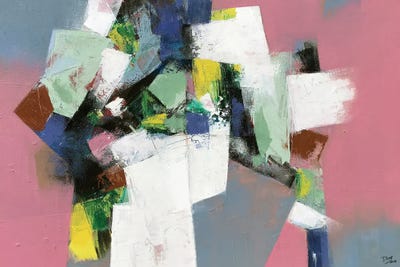 The Seduction Of Imagery by Dong Su canvas print