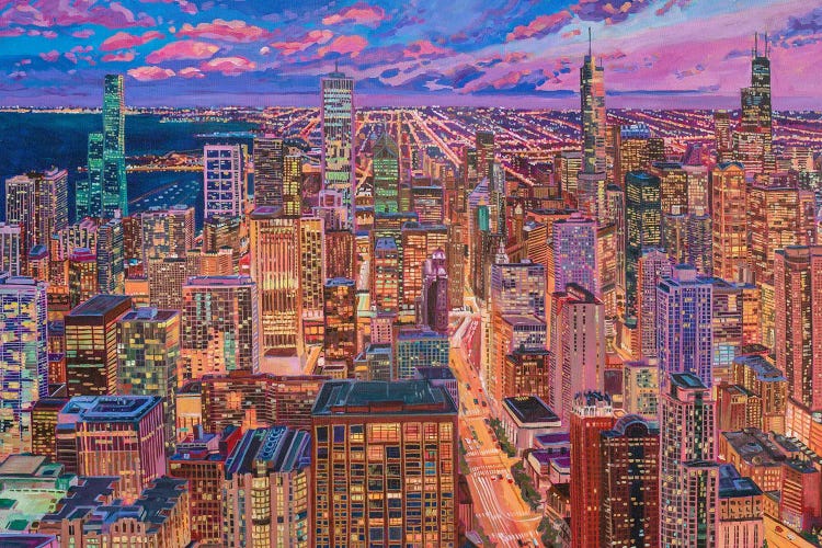 Chicago Night Skyline by Heather Nagy wall art