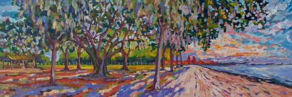 Nature Lover: Chisholm Park Sunset by Heather Nagy