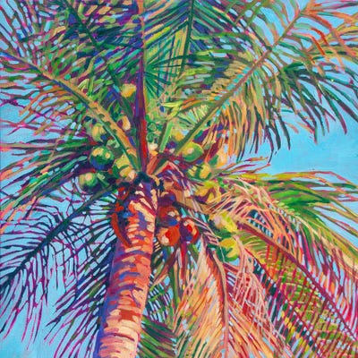 Coconut Palm Tree VIII by Heather Nagy framed canvas print