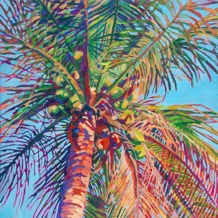 Coconut Palm Tree VIII by Heather Nagy wall art