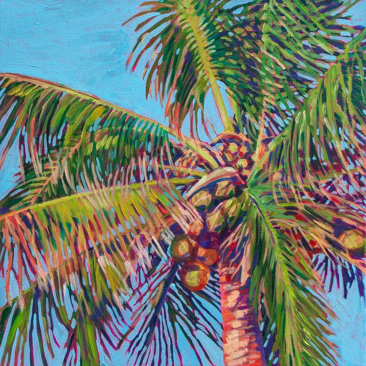 Coconut Palm Tree IX by Heather Nagy wall art