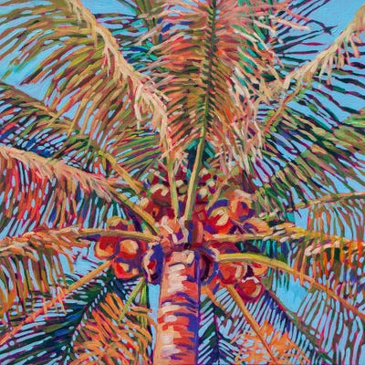 Coconut Palm Tree X by Heather Nagy framed canvas print