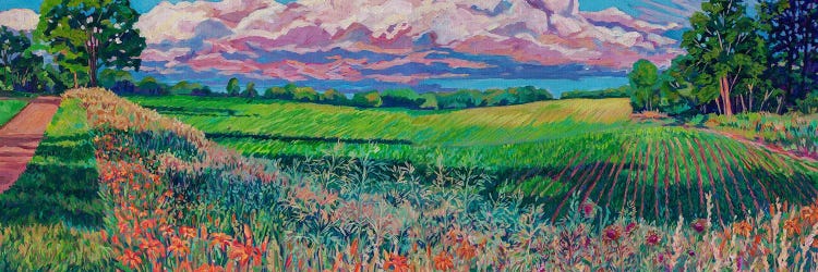 Heartland Panoramic by Heather Nagy wall art