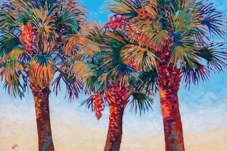 Palms At First Light by Heather Nagy wall art