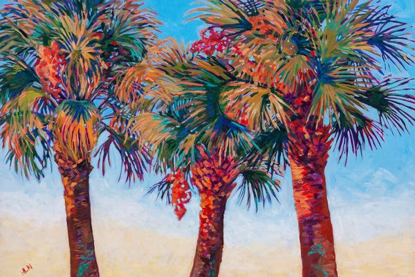 Palms At First Light
