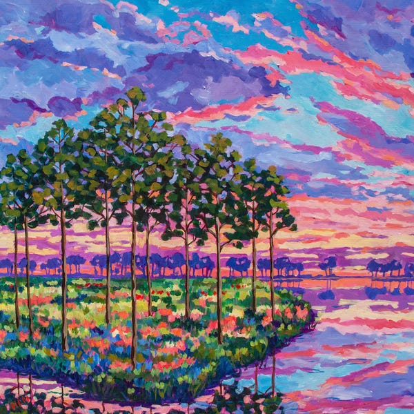 Lake Sunrises & Sunsets: Pines At Sunset (Left) by Heather Nagy