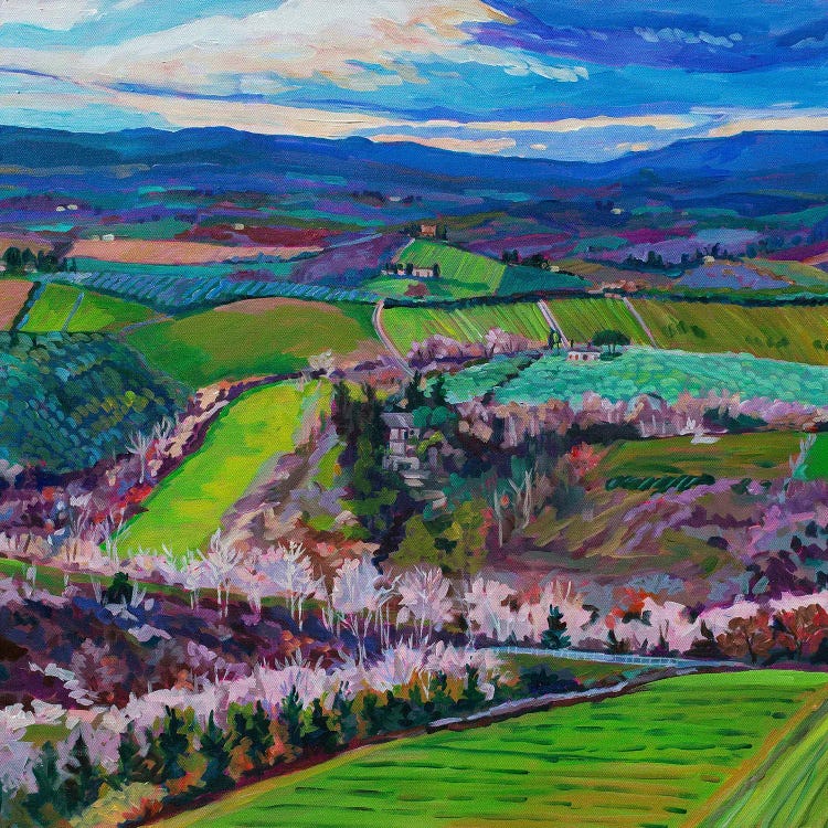 Rolling Tuscan Hills II by Heather Nagy wall art