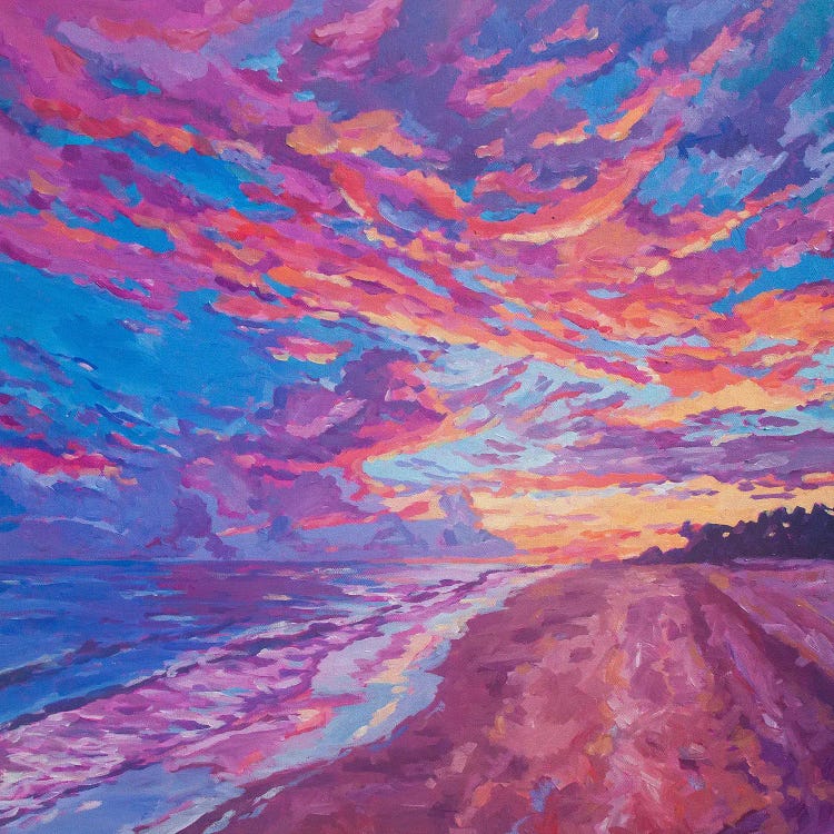 Sanibel Sunset by Heather Nagy wall art