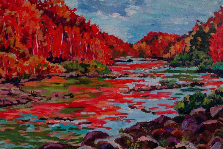 Autumn Colors On The River by Heather Nagy canvas print