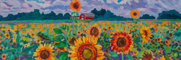 Barns: Sunflower Field by Heather Nagy