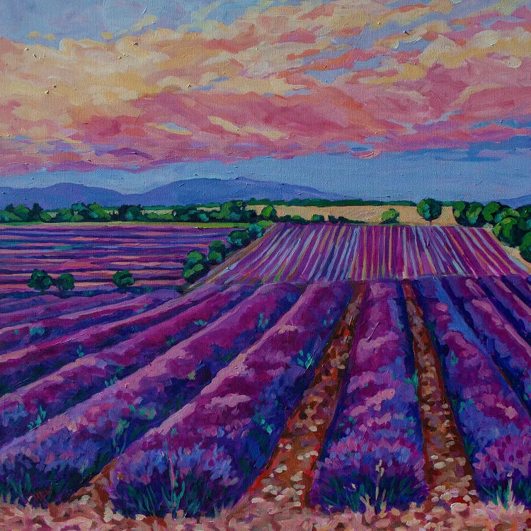 Sunset Over The Lavender Field