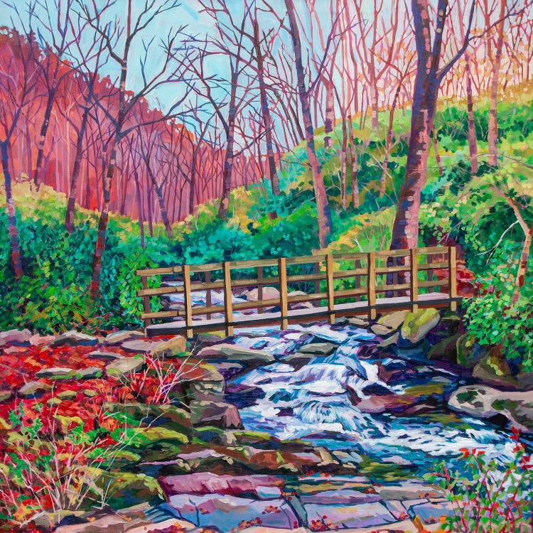 Autumn Adventure-Smoky Mountains by Heather Nagy wall art