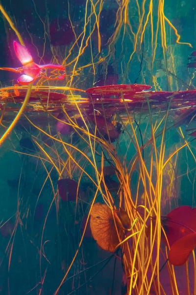 Intravenous by Nathan Head metal wall art