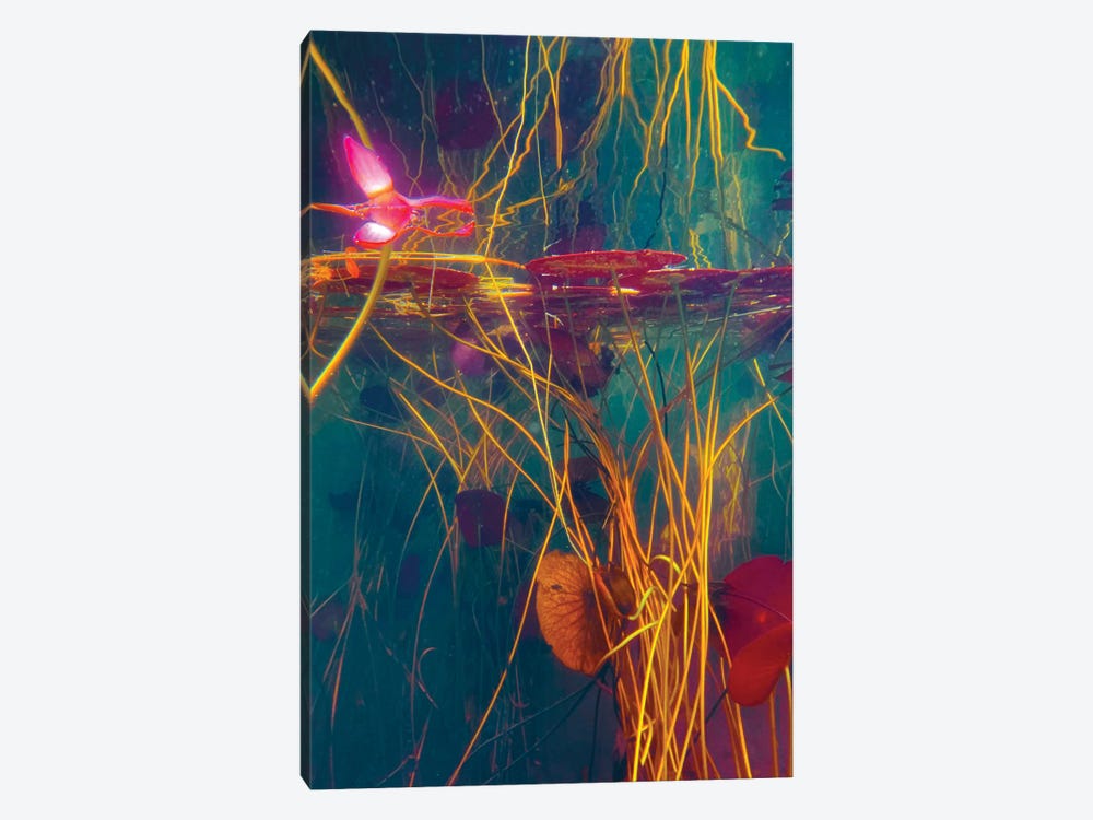 Intravenous by Nathan Head 1-piece Canvas Art