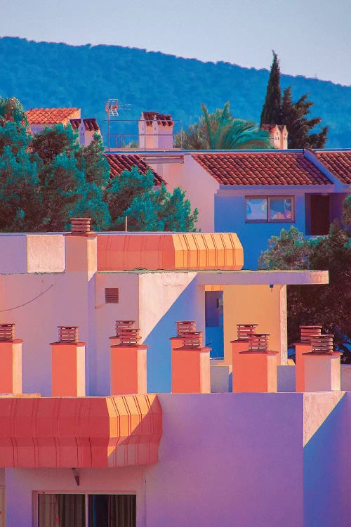 Coral Roof by Nathan Head wall art