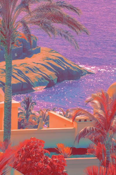 Fields Of Lavender by Nathan Head metal wall art