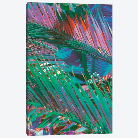 Palms Of Paradise Canvas Print #NHE34} by Nathan Head Canvas Artwork