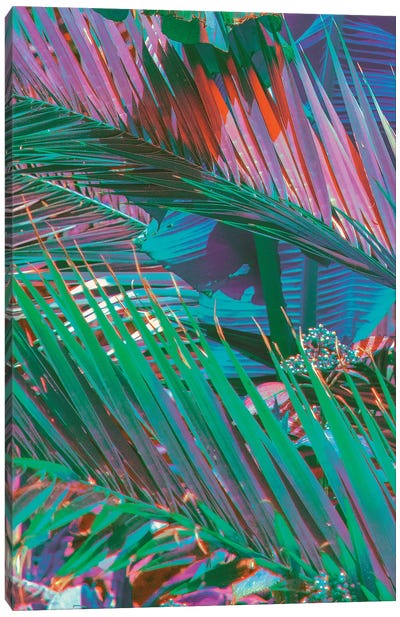 Palms Of Paradise Canvas Art Print - Virtual Escapism