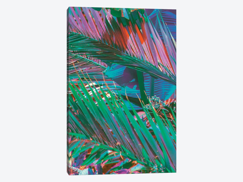 Palms Of Paradise by Nathan Head 1-piece Canvas Print