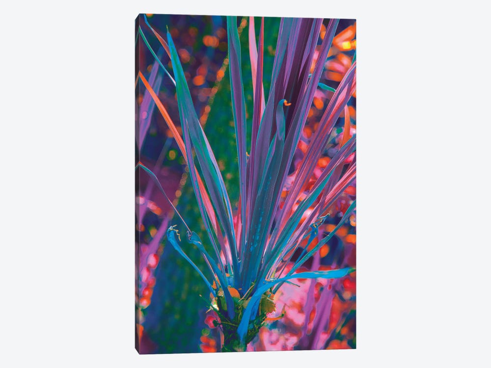 Prismatic Meteor by Nathan Head 1-piece Canvas Wall Art