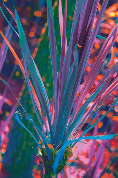 Nathan Head: Prismatic Meteor by Nathan Head