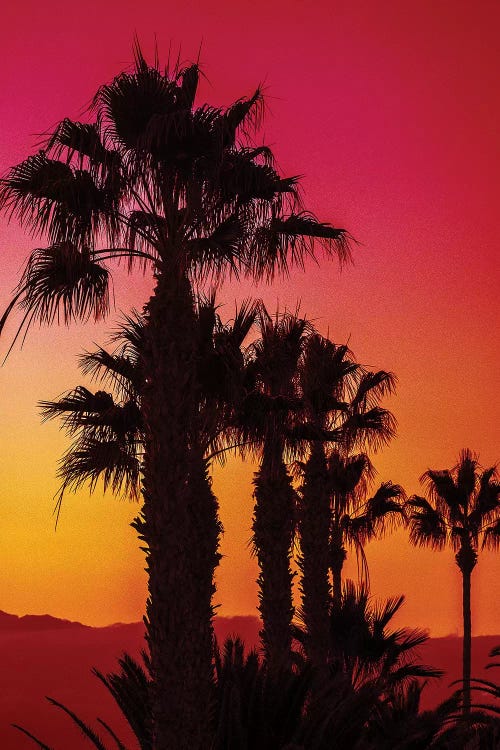 Ruby Sands by Nathan Head wall art