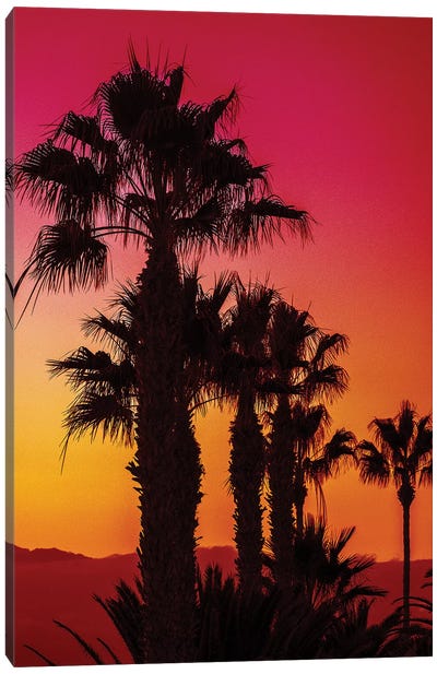 Ruby Sands Canvas Art Print - Tropics to the Max