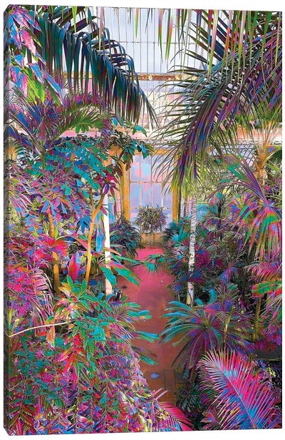 Spark Of Imagination Canvas Art Print - Tropics to the Max