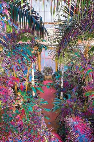 Life In Technicolor: Spark Of Imagination by Nathan Head