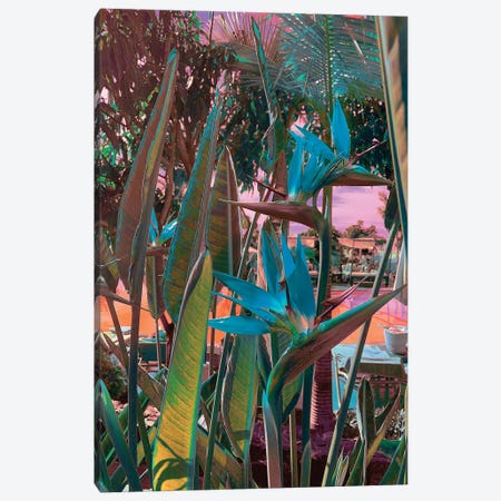 Ultra Tropical Canvas Print #NHE64} by Nathan Head Canvas Print