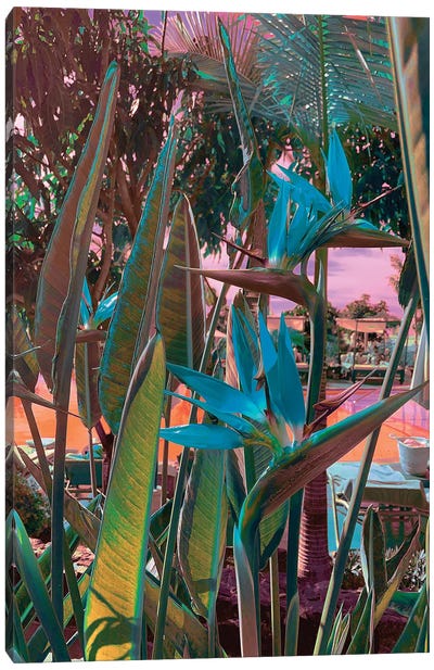 Ultra Tropical Canvas Art Print - Tropics to the Max