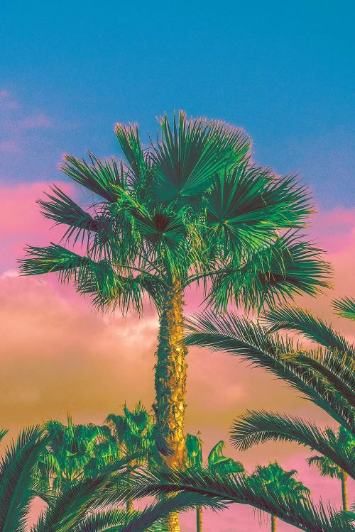 Warmer Days Are Coming by Nathan Head wall art