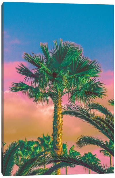 Warmer Days Are Coming Canvas Art Print - Tropics to the Max