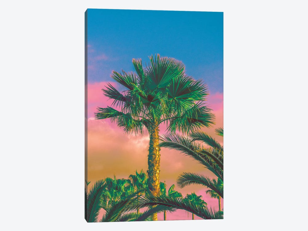 Warmer Days Are Coming by Nathan Head 1-piece Canvas Artwork