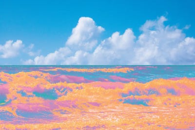 Candy Reef by Nathan Head metal wall art