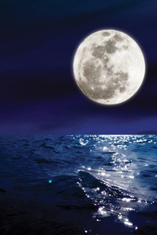 Meet Me By The Moon by Nathan Head wall art