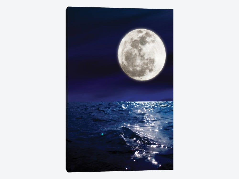 Meet Me By The Moon by Nathan Head 1-piece Canvas Wall Art