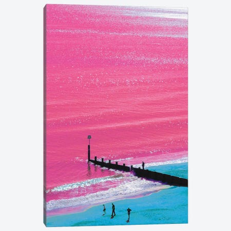 Pink Lemonade Canvas Print #NHE87} by Nathan Head Canvas Print