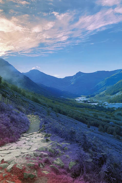 The Land Turned Blue by Nathan Head wall art