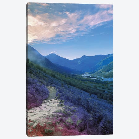 The Land Turned Blue Canvas Print #NHE91} by Nathan Head Canvas Print