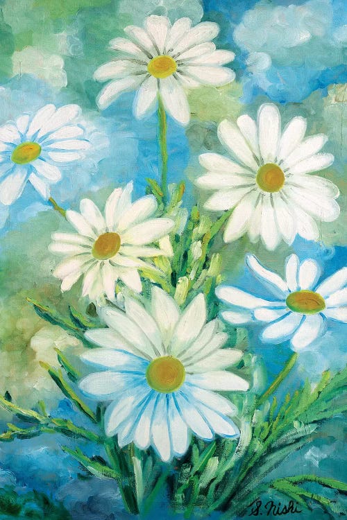 Daisies Against The Sky