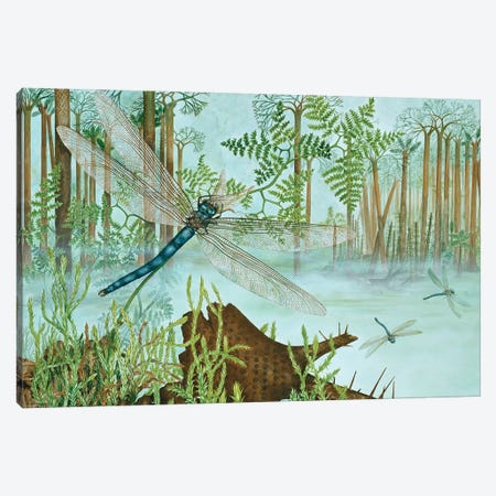 A Giant Dragonfly From The Upper Carboniferous Canvas Print #NHM2} by Natural History Museum (UK) Canvas Art Print